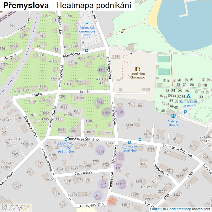 Mapa Přemyslova - Firmy v ulici.