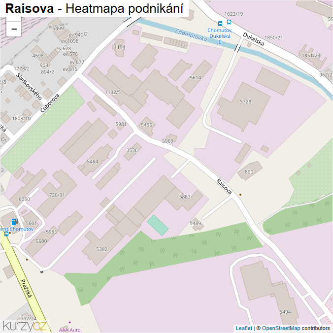 Mapa Raisova - Firmy v ulici.