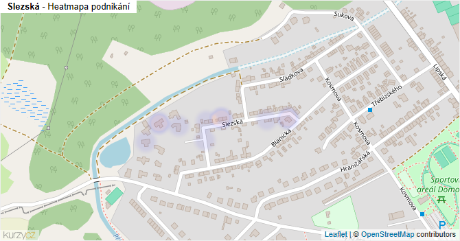 Slezská - mapa podnikání