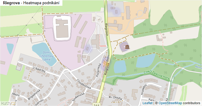 Riegrova - mapa podnikání