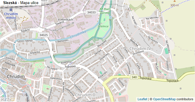 Slezská - mapa ulice