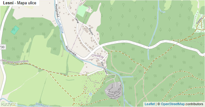 Lesní - mapa ulice