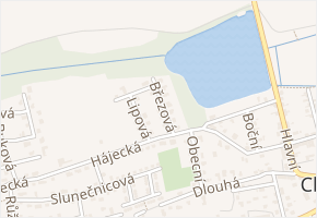 Březová v obci Chýně - mapa ulice