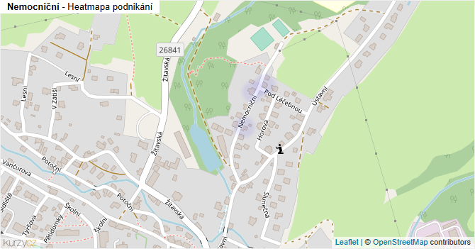 Nemocniční - mapa podnikání