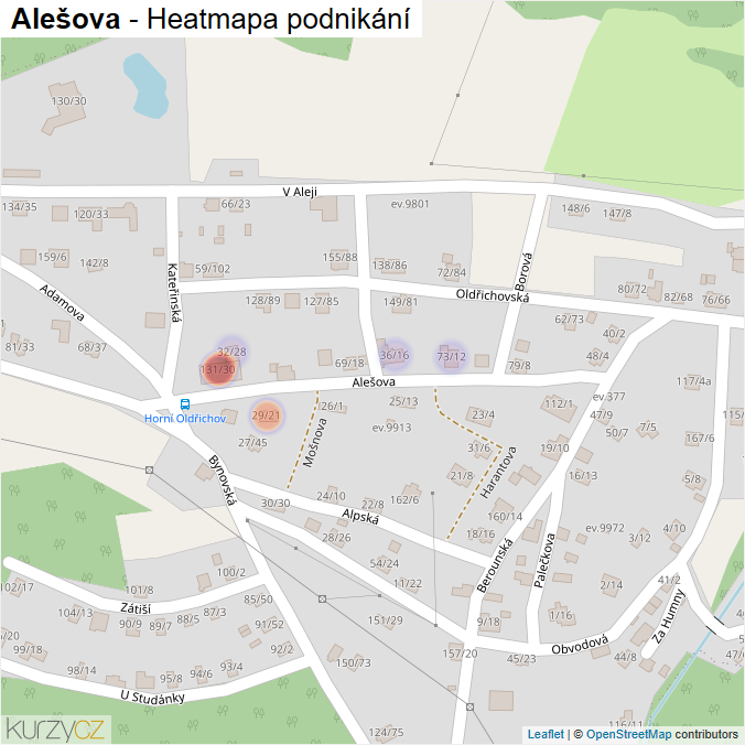 Mapa Alešova - Firmy v ulici.