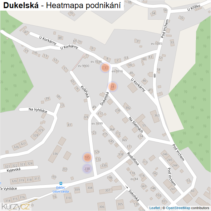 Mapa Dukelská - Firmy v ulici.