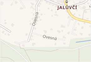 Ovesná v obci Děčín - mapa ulice