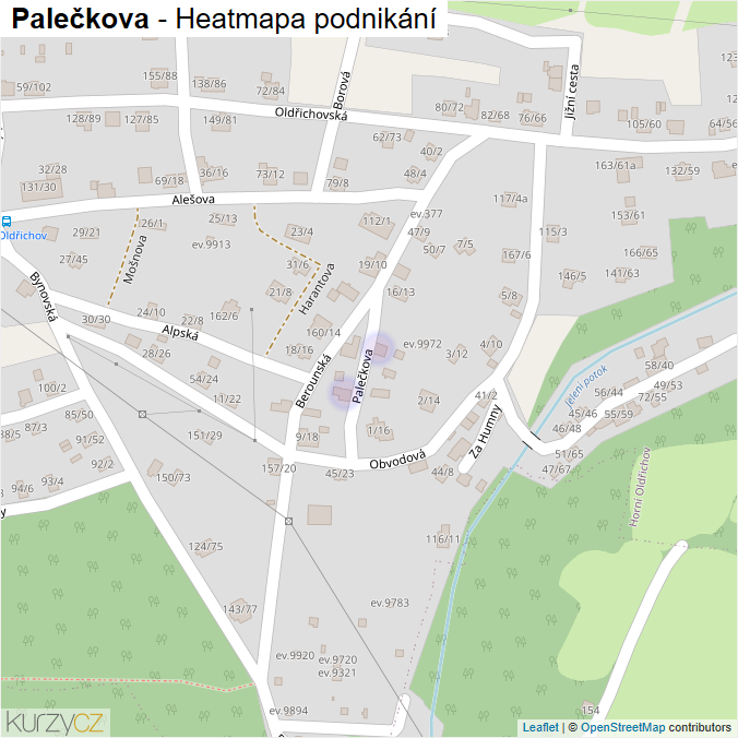 Mapa Palečkova - Firmy v ulici.