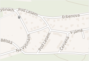 Pod Lesem v obci Děčín - mapa ulice