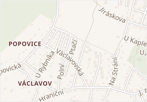 Ptačí v obci Děčín - mapa ulice