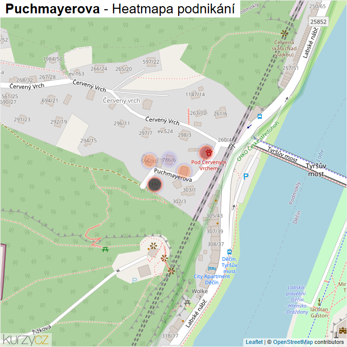 Mapa Puchmayerova - Firmy v ulici.