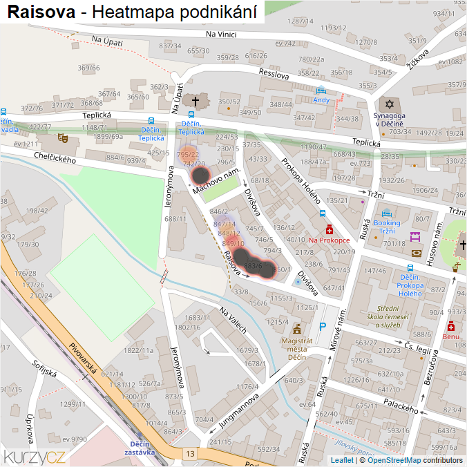 Mapa Raisova - Firmy v ulici.