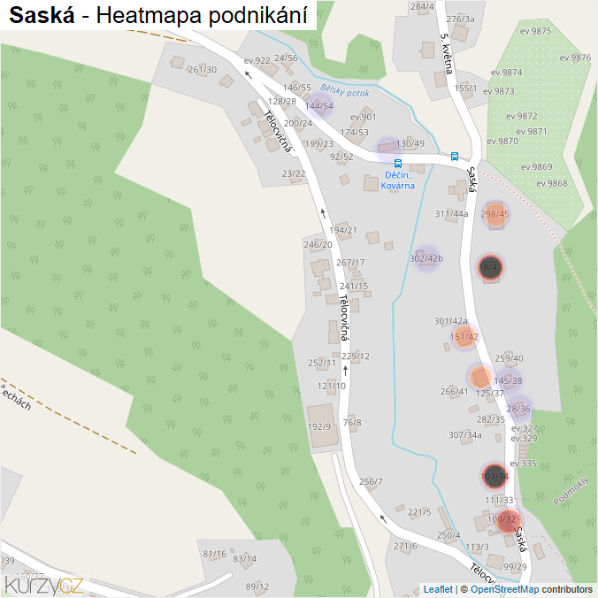 Mapa Saská - Firmy v ulici.