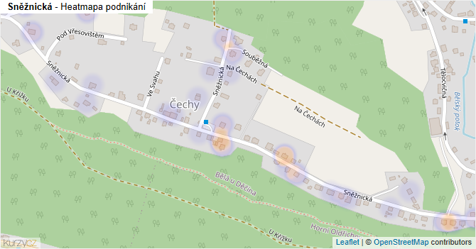Sněžnická - mapa podnikání