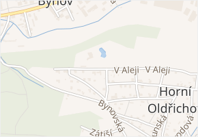 V Aleji v obci Děčín - mapa ulice
