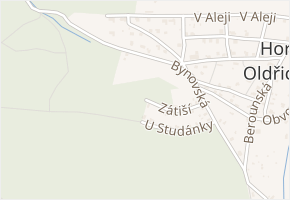 Zátiší v obci Děčín - mapa ulice