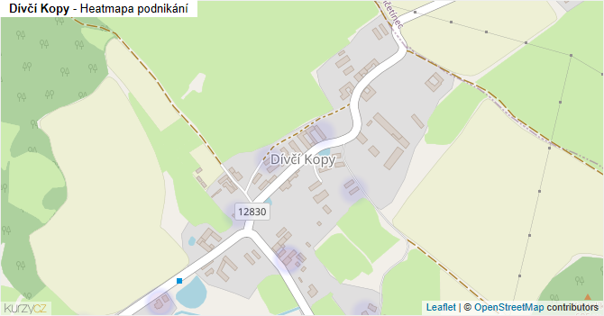 Dívčí Kopy - mapa podnikání