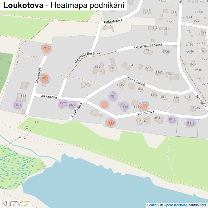 Mapa Loukotova - Firmy v ulici.