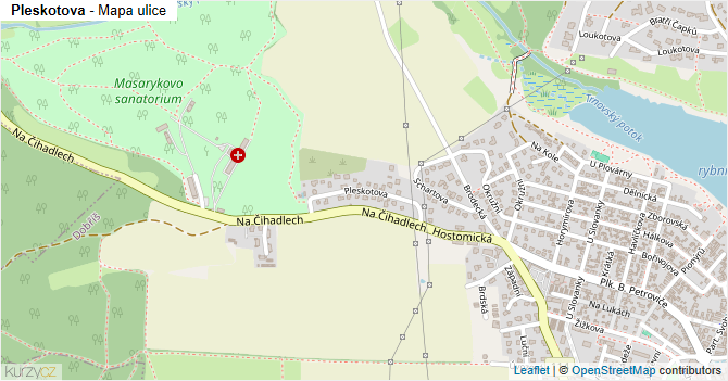 Pleskotova - mapa ulice