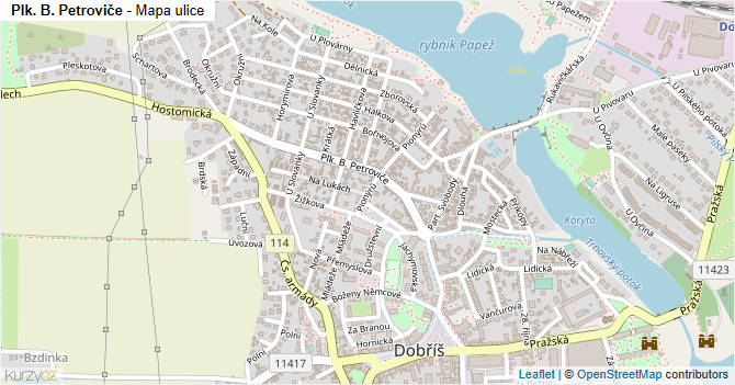 Plk. B. Petroviče - mapa ulice