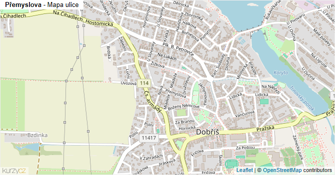 Přemyslova - mapa ulice