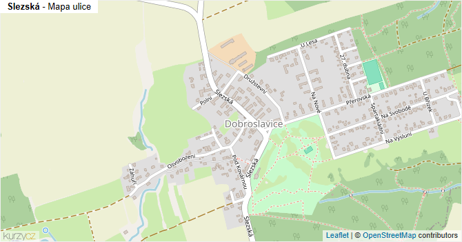 Slezská - mapa ulice