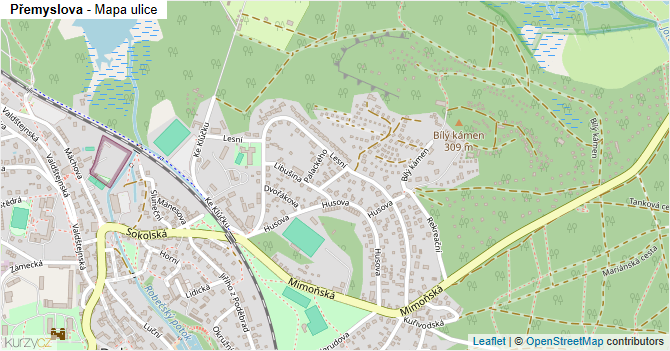 Přemyslova - mapa ulice