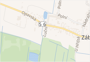 Luční v obci Dolní Benešov - mapa ulice