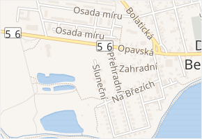 Sluneční v obci Dolní Benešov - mapa ulice
