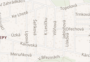 K Lesíčku v obci Dolní Břežany - mapa ulice