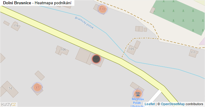 Dolní Brusnice - mapa podnikání