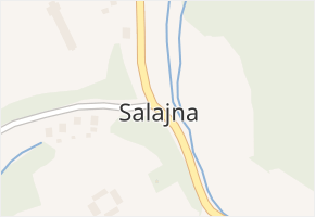 Salajna v obci Dolní Žandov - mapa části obce