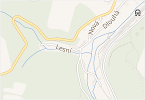 Lesní v obci Domašov nad Bystřicí - mapa ulice