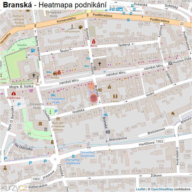 Mapa Branská - Firmy v ulici.