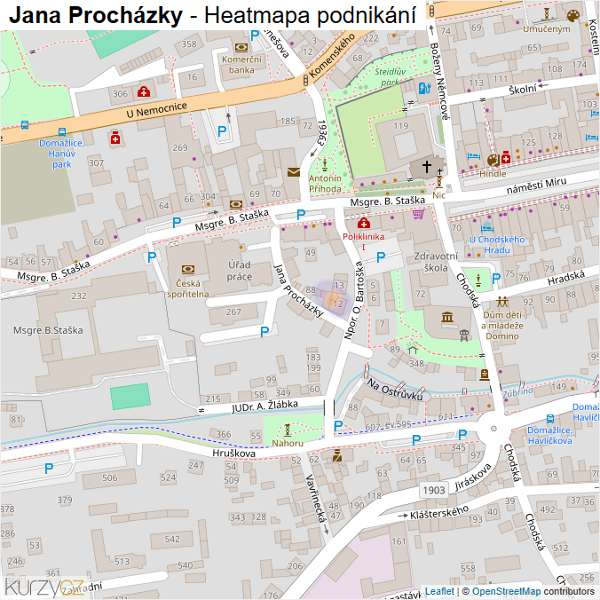 Mapa Jana Procházky - Firmy v ulici.