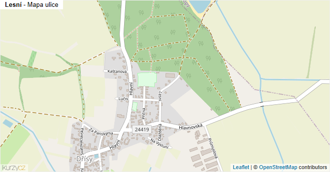 Lesní - mapa ulice