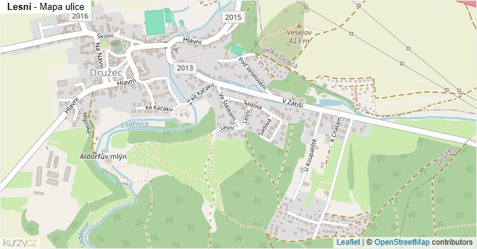 Lesní - mapa ulice