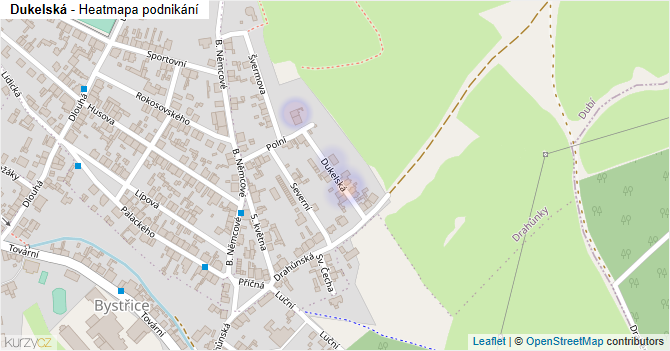Dukelská - mapa podnikání
