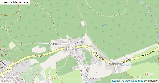 Lesní - mapa ulice