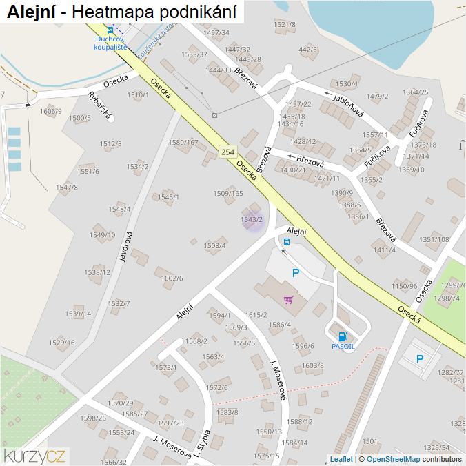 Mapa Alejní - Firmy v ulici.