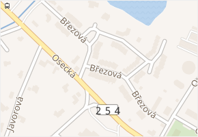 Březová v obci Duchcov - mapa ulice