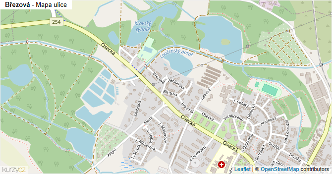 Březová - mapa ulice