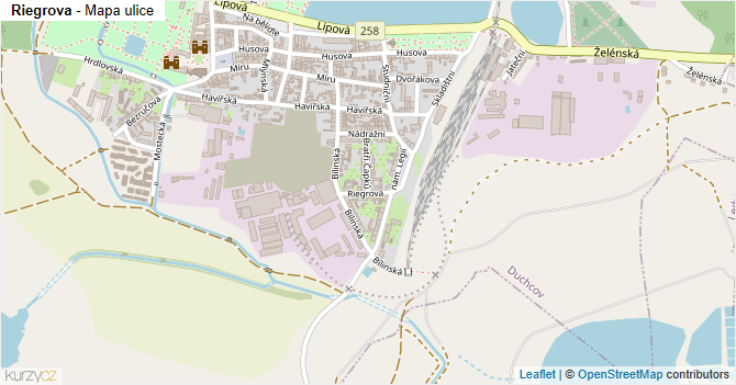 Riegrova - mapa ulice