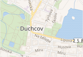 Slepá v obci Duchcov - mapa ulice