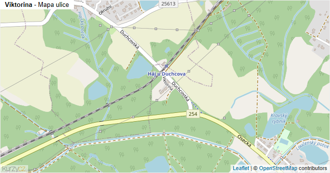 Viktorina - mapa ulice