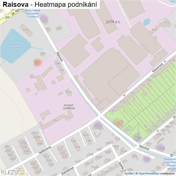 Mapa Raisova - Firmy v ulici.