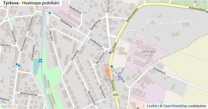 Tyršova - mapa podnikání
