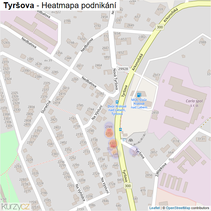 Mapa Tyršova - Firmy v ulici.