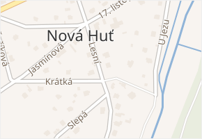 Lesní v obci Dýšina - mapa ulice