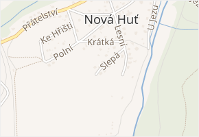 Slepá v obci Dýšina - mapa ulice